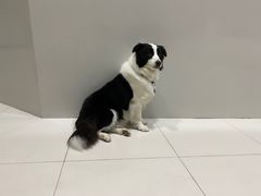 -上海潜殿潜水中心