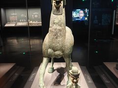 -广西壮族自治区博物馆