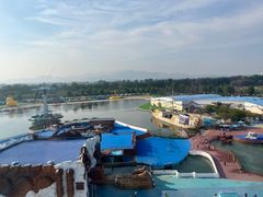 -秦皇岛乐岛海洋王国