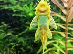 -上海海洋水族馆