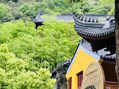 -莫干山风景区
