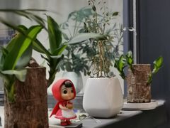 -intime coffee(芝麻街店)