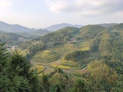 -紫鹊界梯田景区