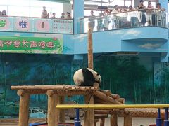-沈阳森林动物园