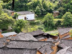 -杨家堂村