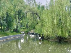 -无锡动物园·太湖欢乐园