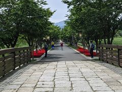 -长田漾湿地公园
