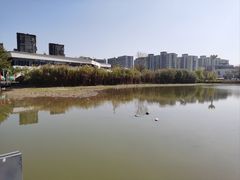 -飞凤山奥体公园