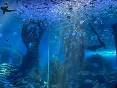-波塞冬海底世界