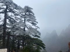 -黄山风景区