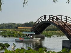 -白洋淀景区