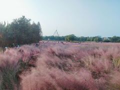 -艾溪湖湿地公园