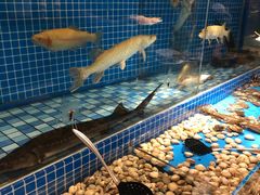-蓝钻·国际美食海鲜自助百汇(西直门店)