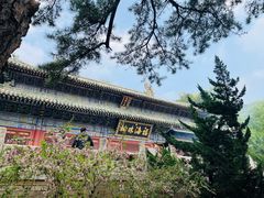-潭柘寺景区