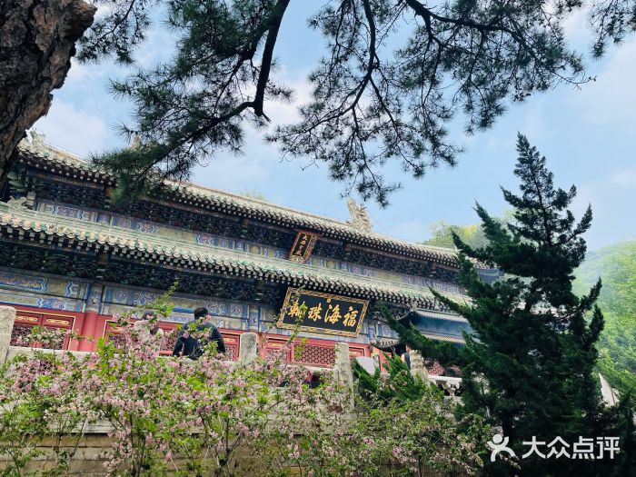 潭柘寺景区图片