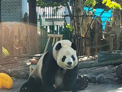 -大连森林动物园