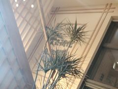 -艾柏堂·经络·艾灸调理(中天健店)