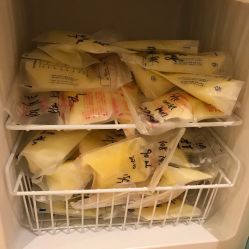 -皇家月府月子中心(沈阳店)