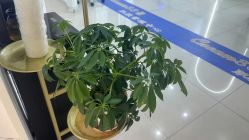 -Cream88颜皮肤管理中心