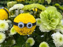 -石家庄市植物园