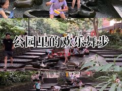 -成都市活水公园