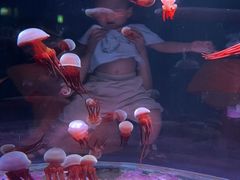 -欢乐海岸海洋奇梦馆