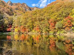 -关门山森林公园