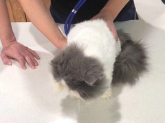 -MOLLY'S萌宠生活馆