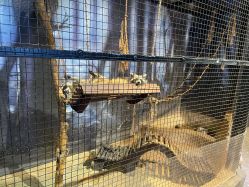 -酷嗒动物文化乐园(cutezoo西溪乐天城店)