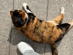 -山东大学(威海校区)