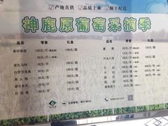 -白鹿原葡萄主题公园