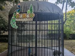 -太湖饭店·寄畅轩中餐厅