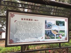 -宋井风景区