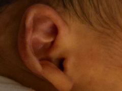 -杭州市第一人民医院(湖滨院区)