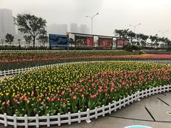 -铜锣湾·有麝自然香(重庆新天地店)