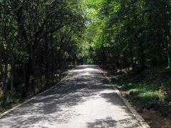 -天生桥景区