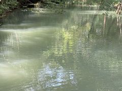 -乌村