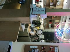 -滚猫咖啡·猫咖·猫友好撸猫(未来城店)