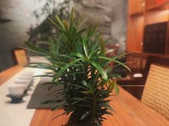 -觅唐MITONG(鸟巢店)