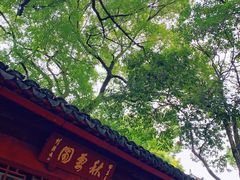 -秋霞圃