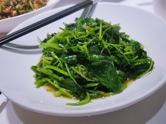 -院里寻菜·精致庭院菜(观沙岭店)