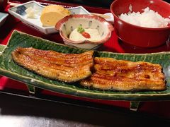 -料亭菊水楼