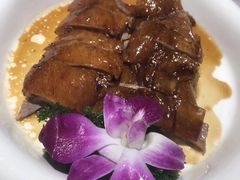 -粤点越有·茶点·粤菜(樵岭国际店)