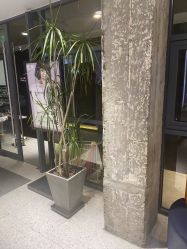 -PE SALON