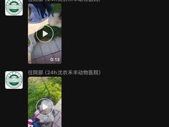 -派美特宠物医院·核磁CT·骨科肿瘤·疑难转诊(沈农禾丰店)