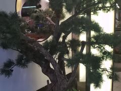 -望湘园·洞庭渔宴(永旺店)