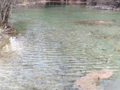 -黄龙山原始森林景区