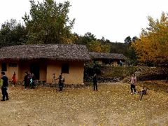 -千年银杏谷文化旅游区