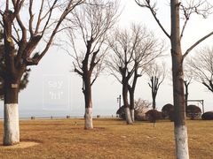 -海草馆自助餐厅(悦海店)