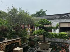 -顺德了能馆(虎门店)